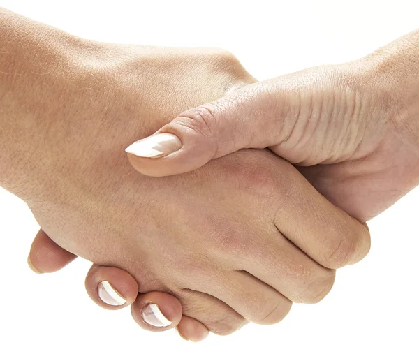 Beschreibung des Bildes